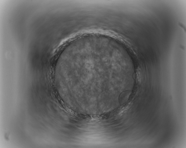 X0000099961494200806131458