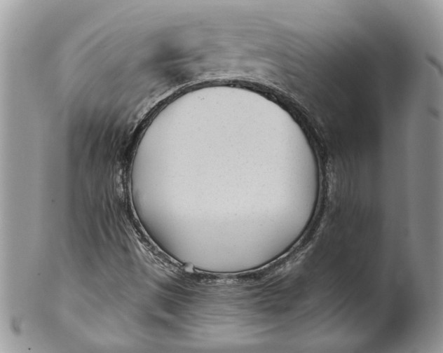 X0000099961497200806131458