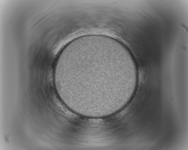 X0000099961498200806131458