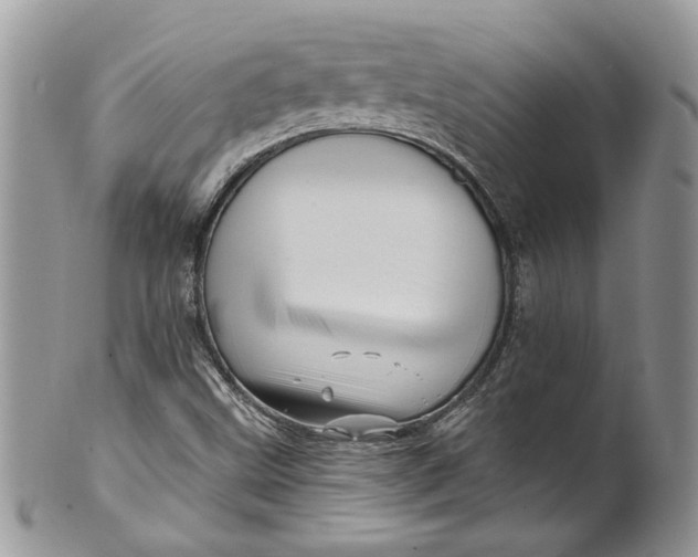 X0000099961499200806131458