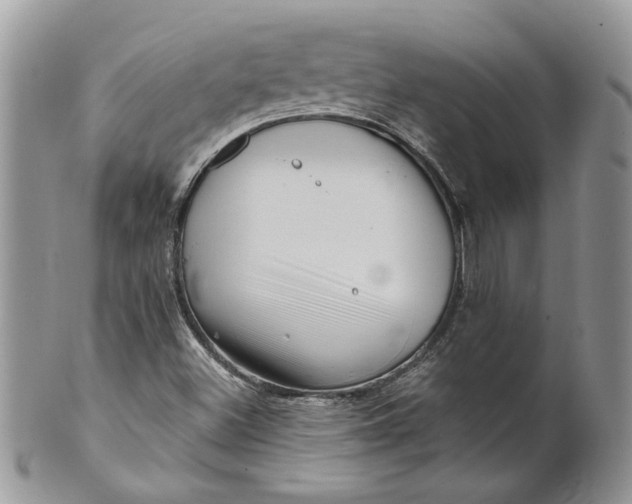 X0000099961500200806131458