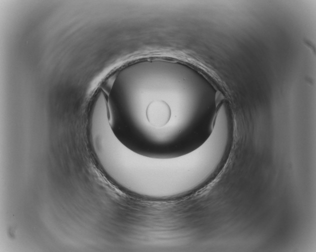 X0000099961502200806131458