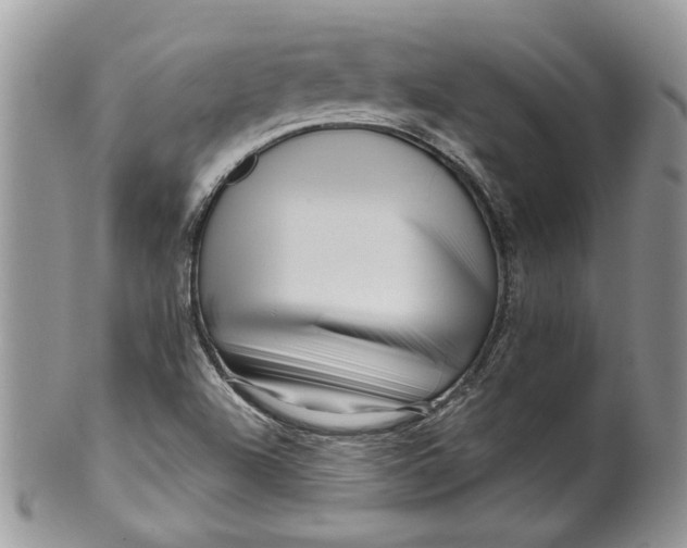 X0000099961504200806131458