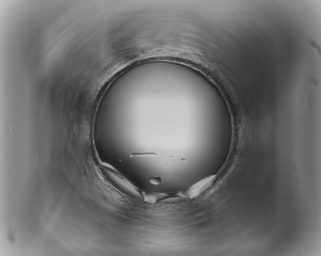 X0000099961505200806131458