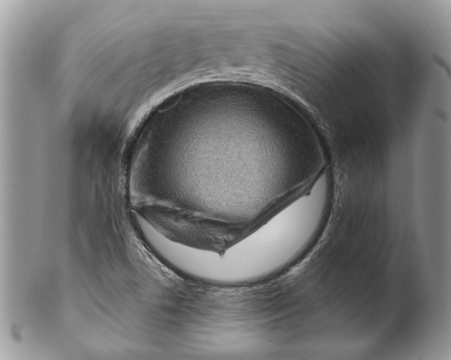 X0000099961506200806131458