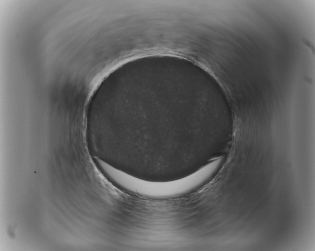 X0000099961508200806131458