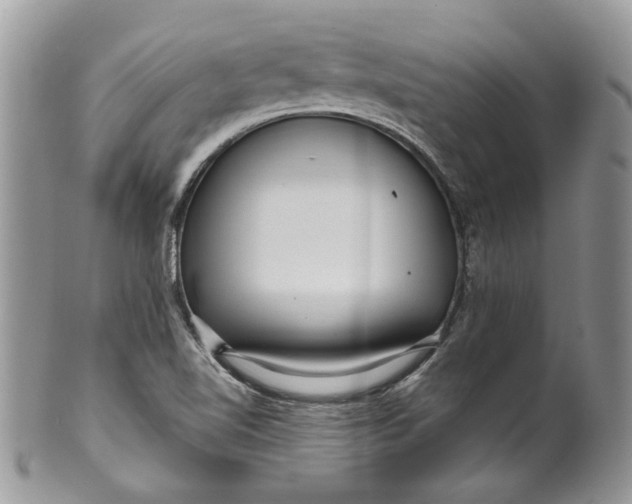 X0000099961510200806131458