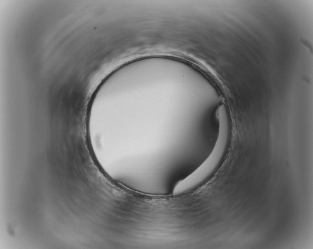 X0000099961512200806131458