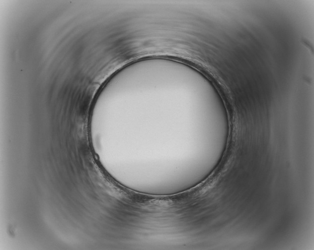 X0000099961513200806131458