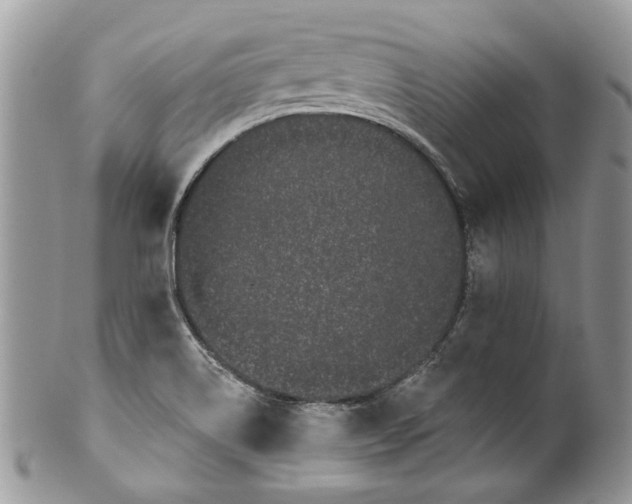 X0000099961514200806131458
