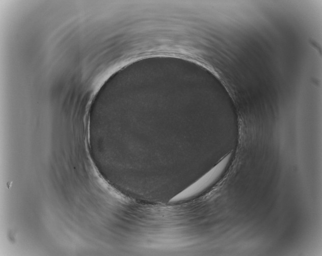 X0000099961515200806131458