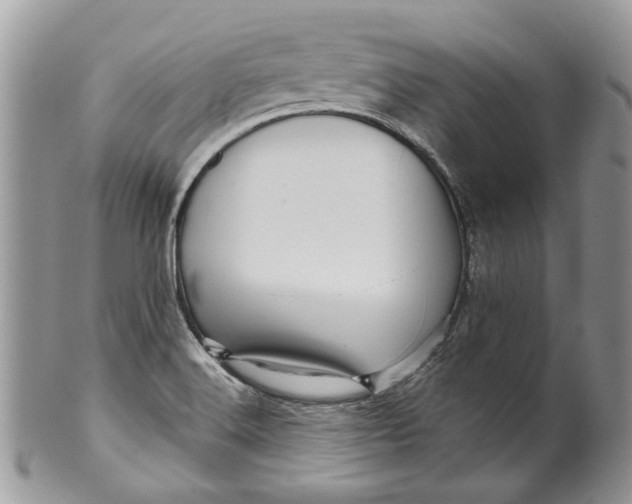 X0000099961516200806131458