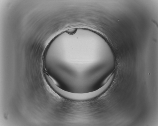 X0000099961518200806131458