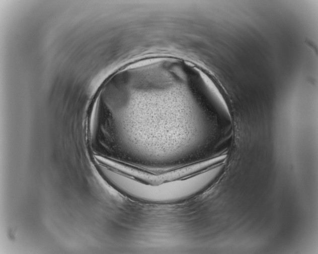 X0000099961519200806131458