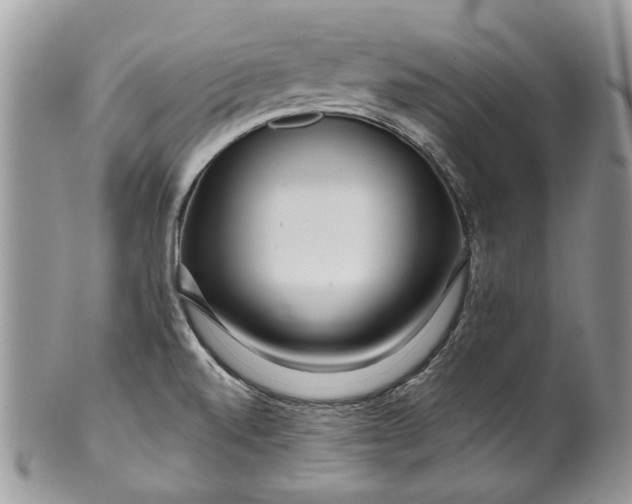 X0000099961520200806131458
