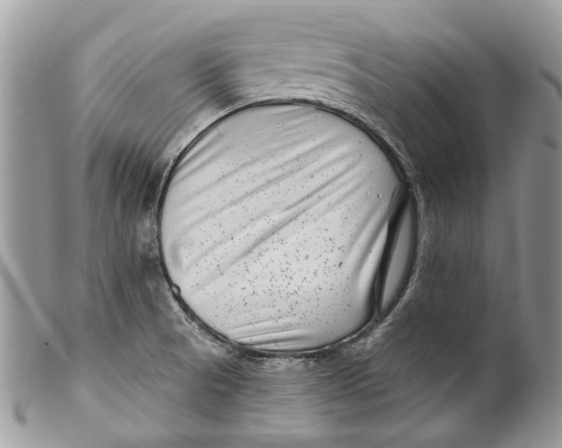 X0000099961521200806131458