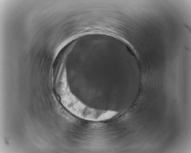 X0000099961522200806131458