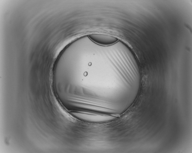 X0000099961523200806131458