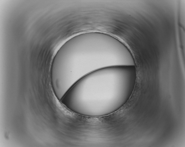 X0000099961524200806131458