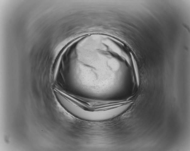X0000099961527200806131458