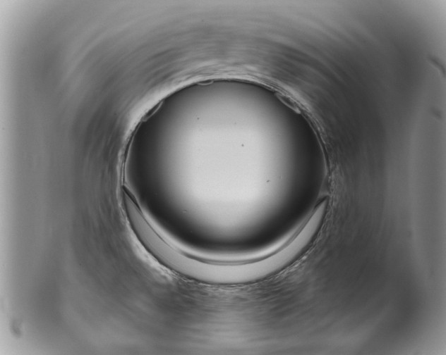 X0000099961528200806131458