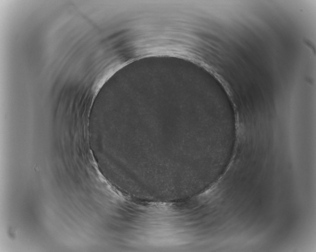 X0000099961529200806131458
