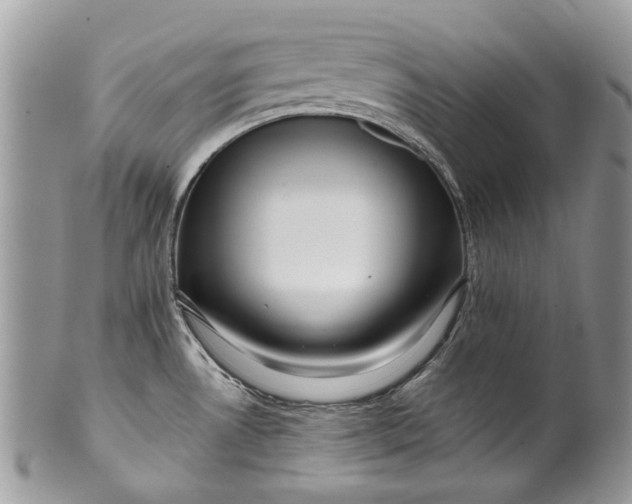 X0000099961530200806131458