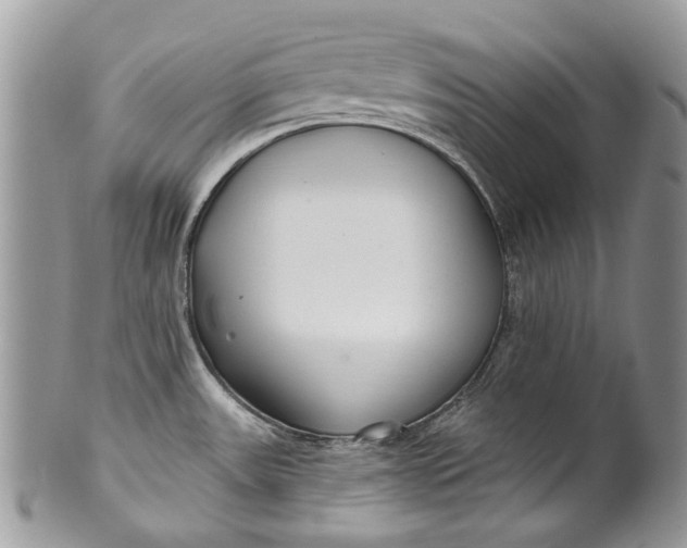 X0000099961531200806131458