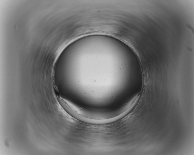 X0000099961532200806131458