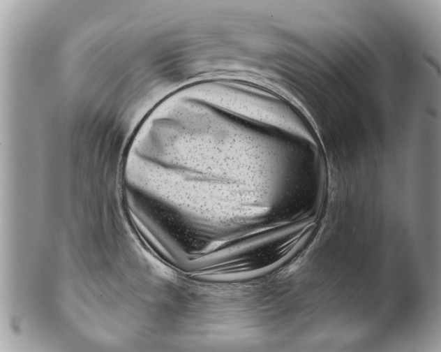 X0000099961533200806131458