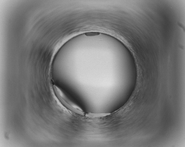 X0000099961536200806131458