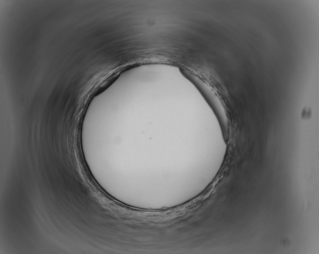 X0000099960001200806201348
