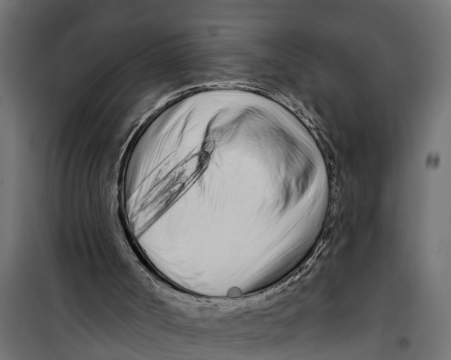 X0000099960002200806201348