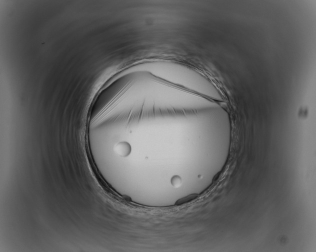 X0000099960003200806201348