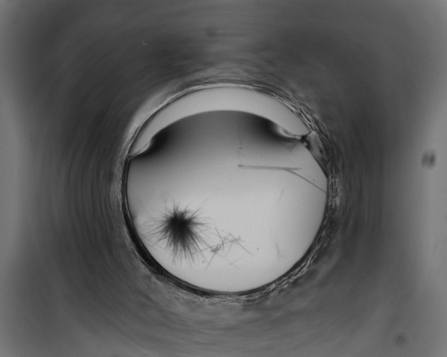 X0000099960004200806201348