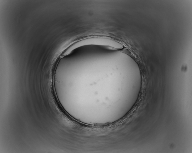 X0000099960005200806201348