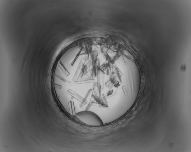 X0000099960006200806201348