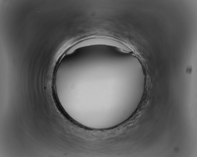 X0000099960007200806201348