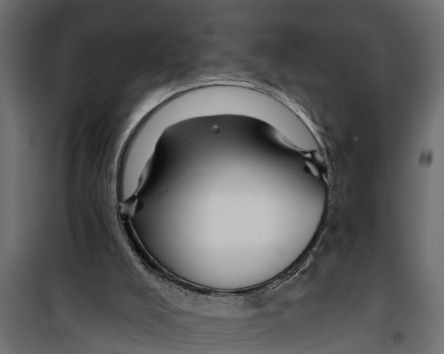 X0000099960008200806201348