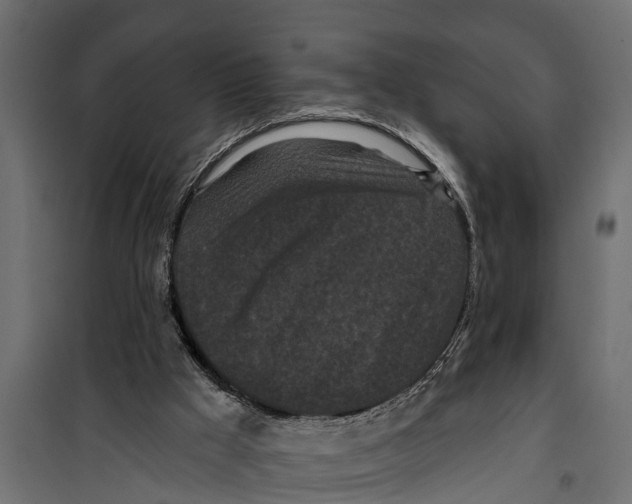 X0000099960009200806201348