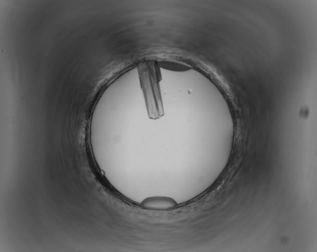 X0000099960010200806201348