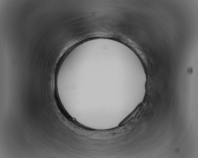 X0000099960011200806201348