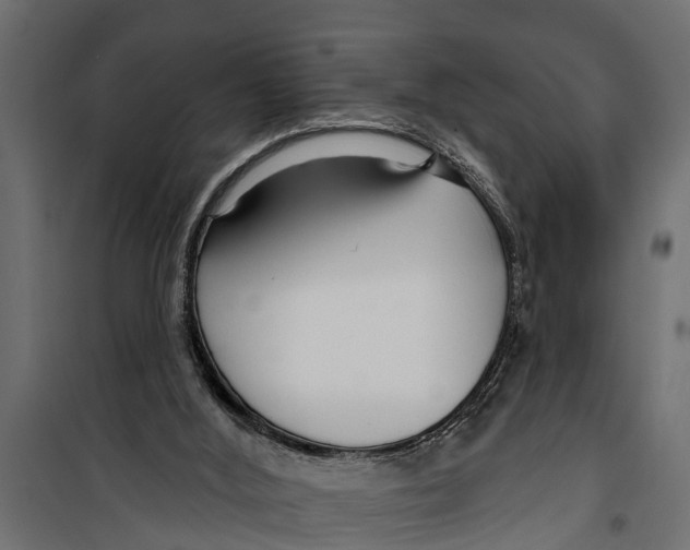 X0000099960012200806201348