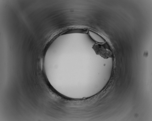 X0000099960013200806201348