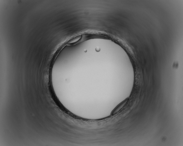 X0000099960015200806201348