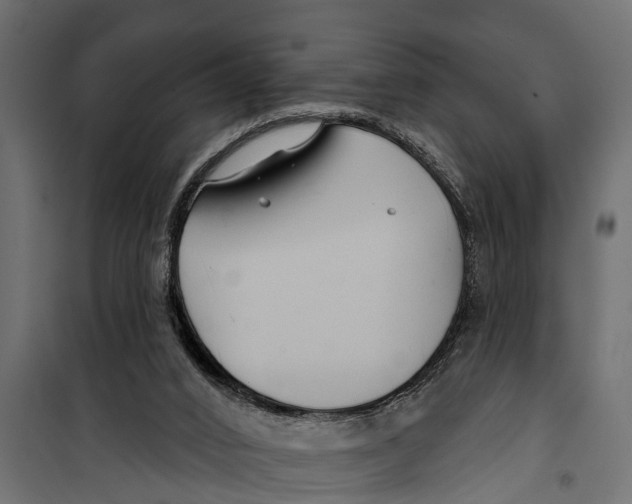 X0000099960016200806201348