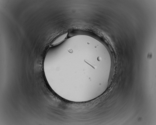 X0000099960017200806201348