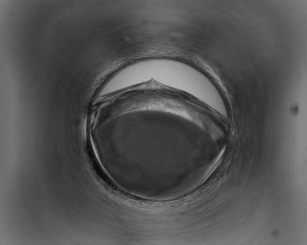 X0000099960019200806201348