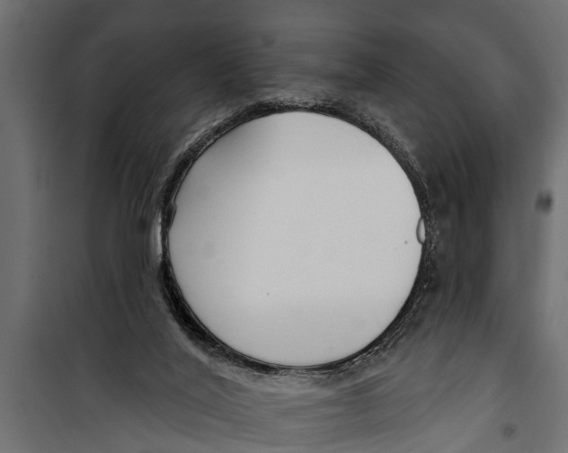 X0000099960020200806201348