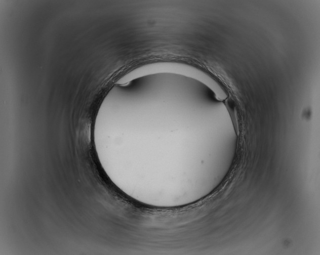 X0000099960021200806201348